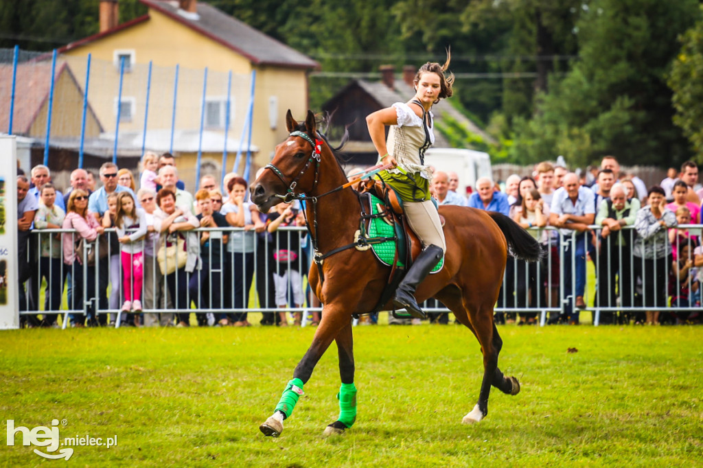 XI Parada Konna w Żarówce