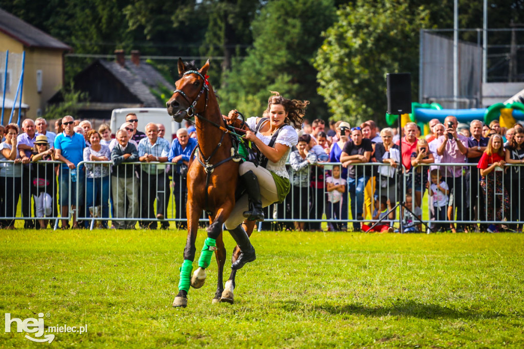 XI Parada Konna w Żarówce