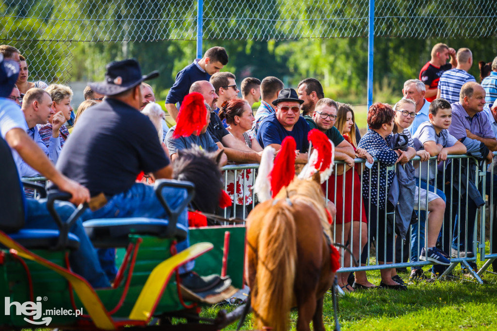 XI Parada Konna w Żarówce