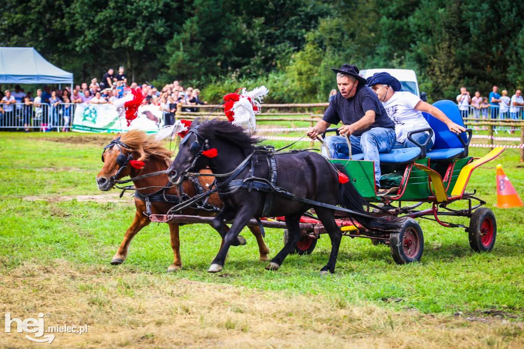 XI Parada Konna w Żarówce