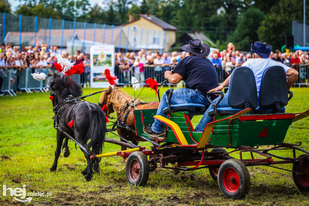 XI Parada Konna w Żarówce