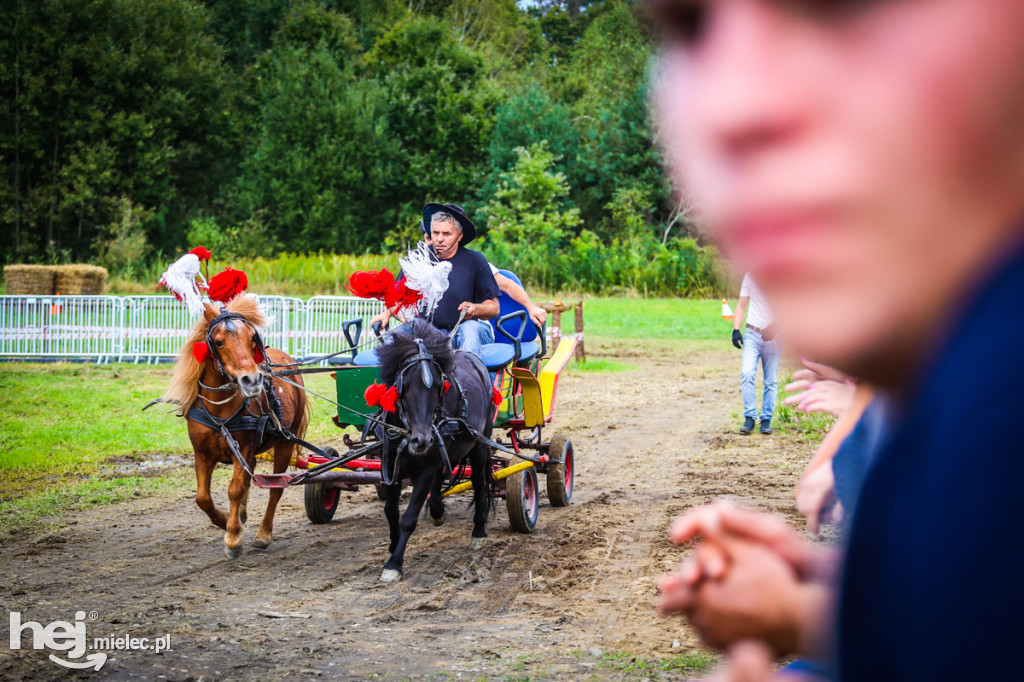 XI Parada Konna w Żarówce