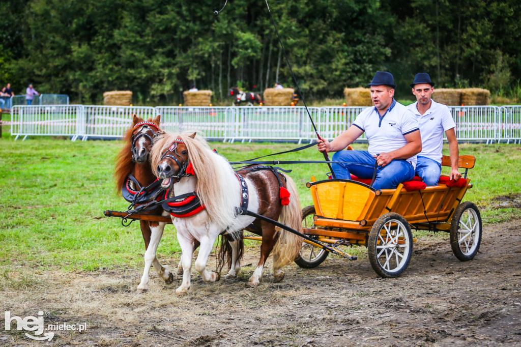 XI Parada Konna w Żarówce