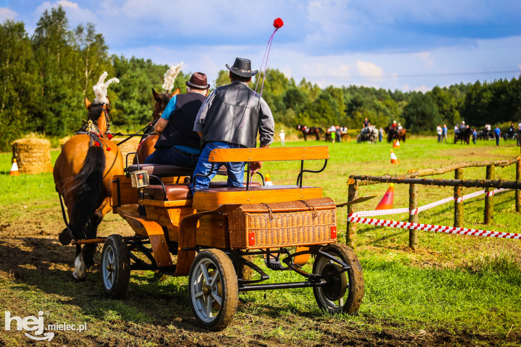 XI Parada Konna w Żarówce