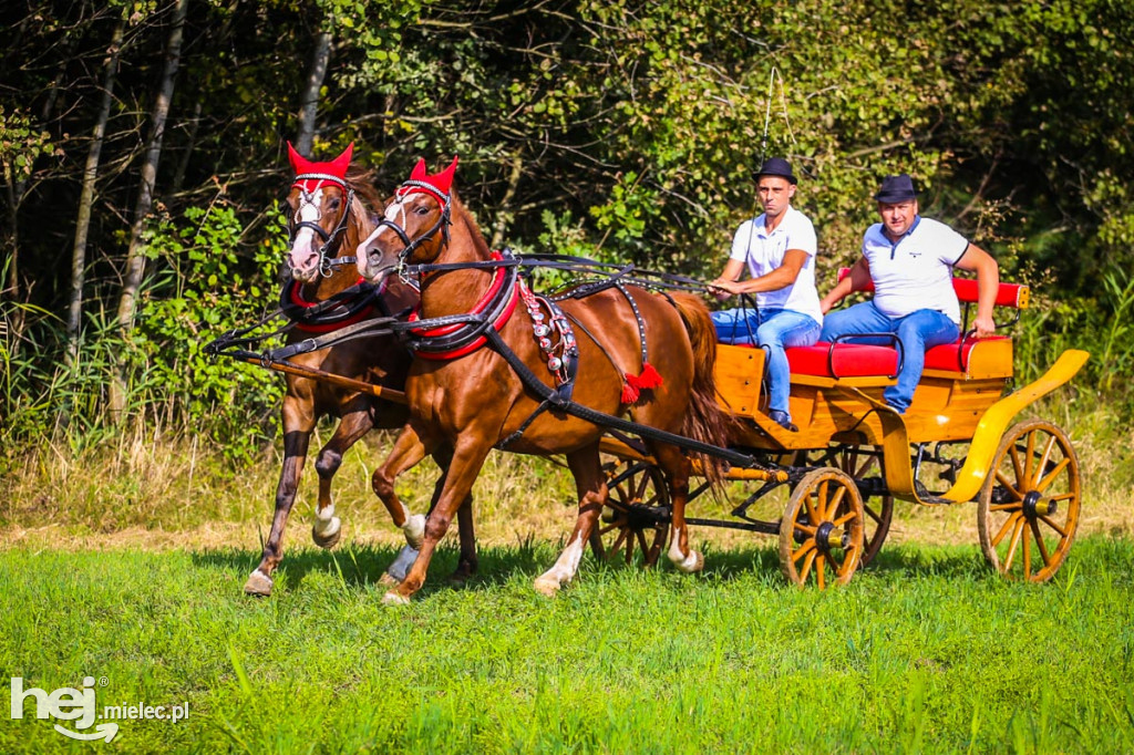 XI Parada Konna w Żarówce