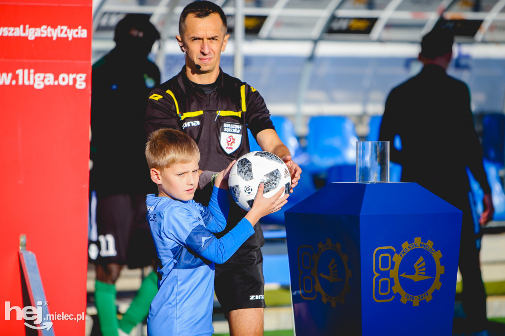PGE FKS Stal - GKS Bełchatów