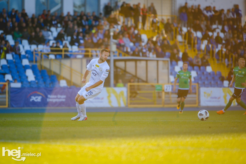 PGE FKS Stal - GKS Bełchatów