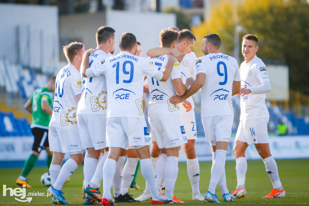 PGE FKS Stal - GKS Bełchatów