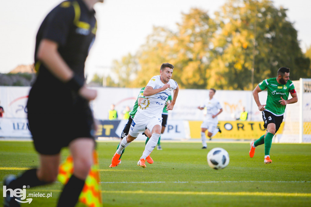 PGE FKS Stal - GKS Bełchatów