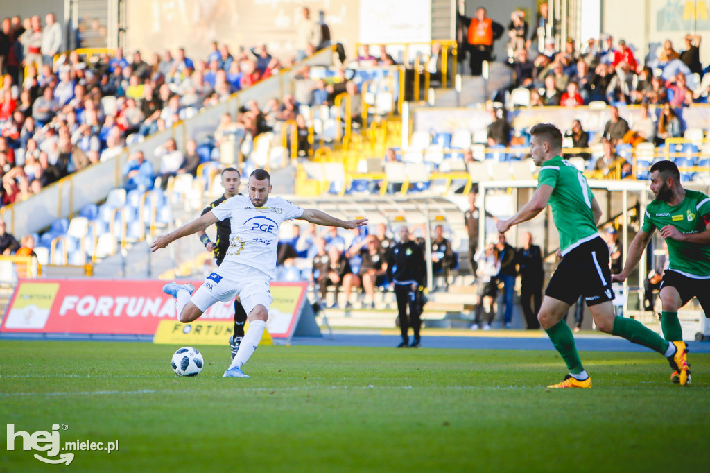 PGE FKS Stal - GKS Bełchatów