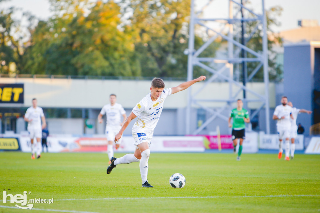 PGE FKS Stal - GKS Bełchatów