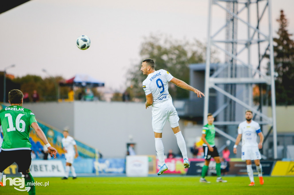PGE FKS Stal - GKS Bełchatów