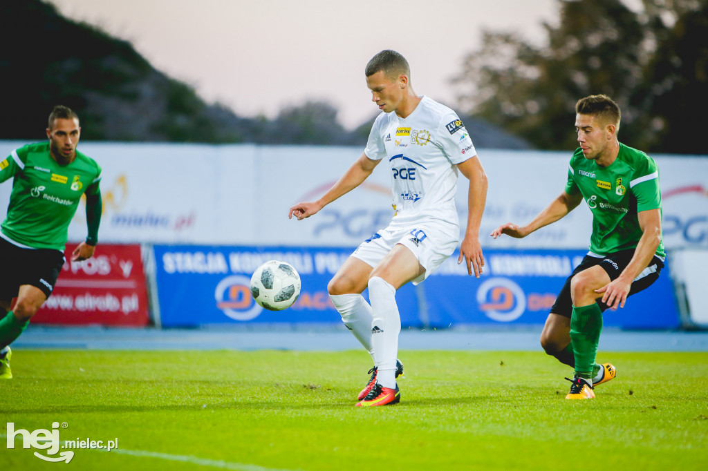 PGE FKS Stal - GKS Bełchatów