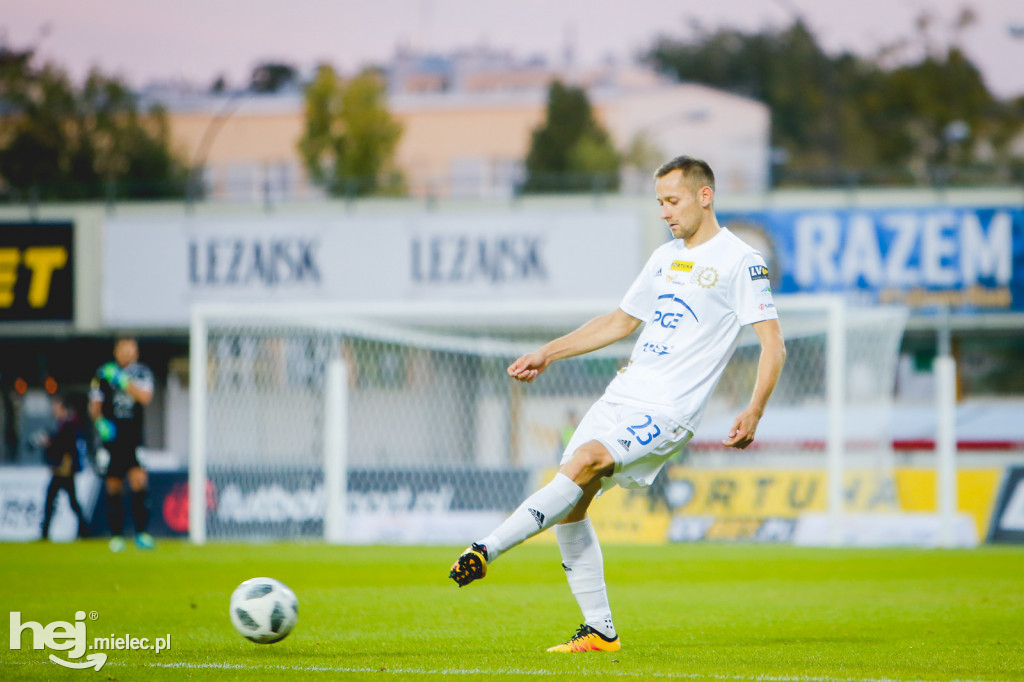 PGE FKS Stal - GKS Bełchatów