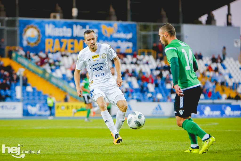 PGE FKS Stal - GKS Bełchatów