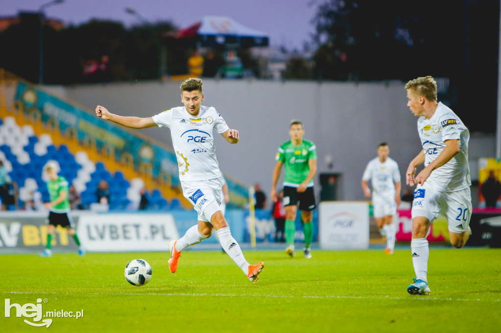 PGE FKS Stal - GKS Bełchatów