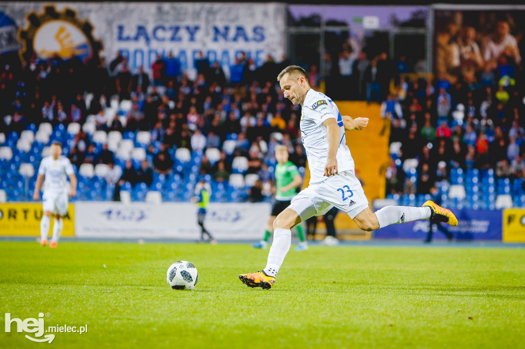 PGE FKS Stal - GKS Bełchatów