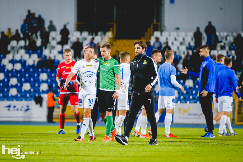 PGE FKS Stal - GKS Bełchatów