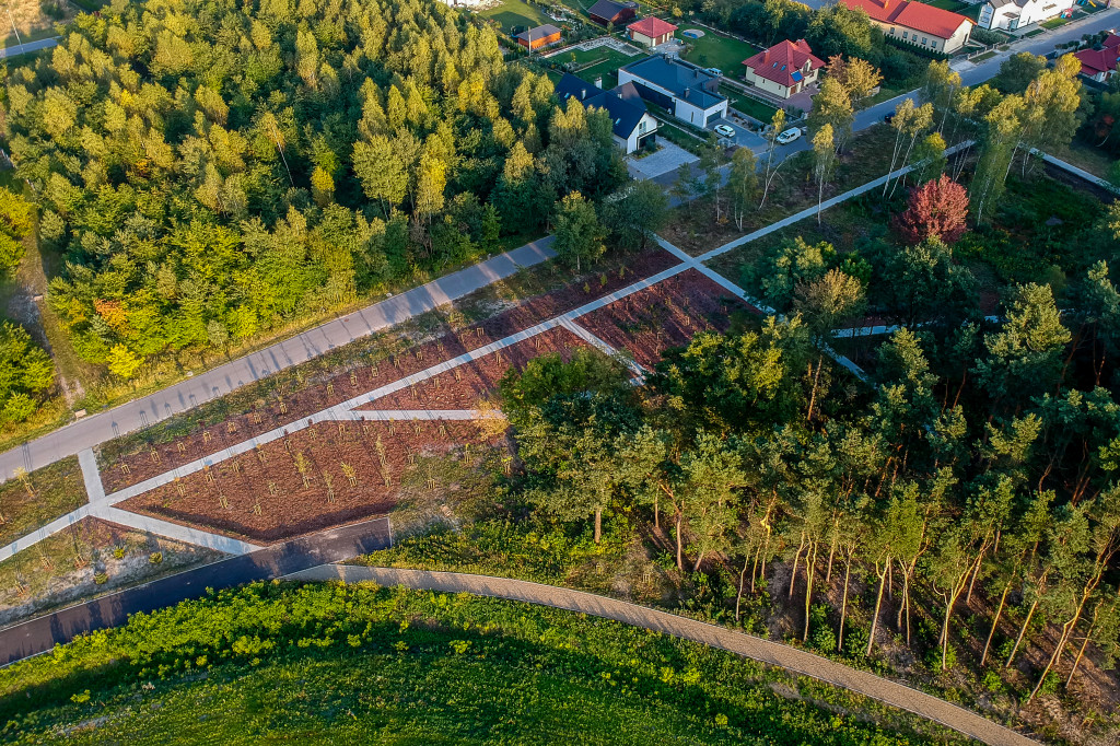 Nowy park na Smoczce z drona