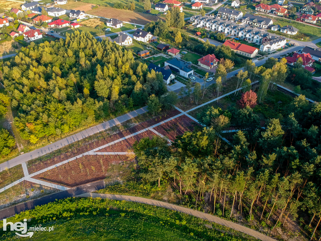 Nowy park na Smoczce z drona