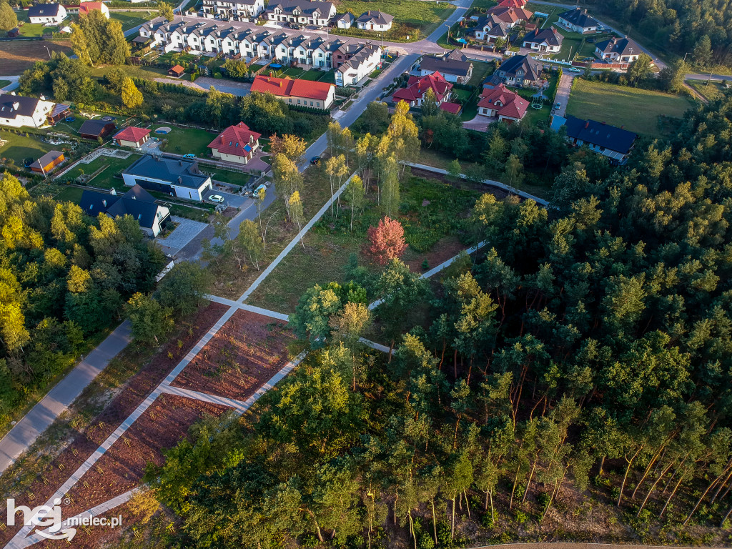 Nowy park na Smoczce z drona