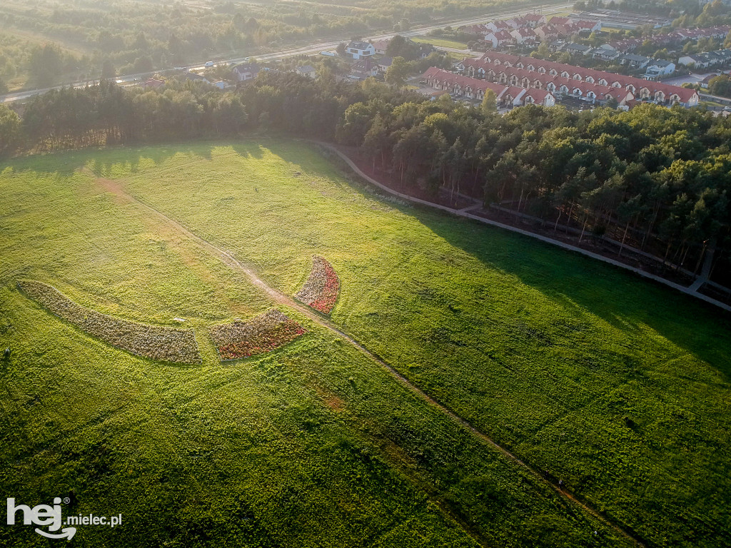 Nowy park na Smoczce z drona