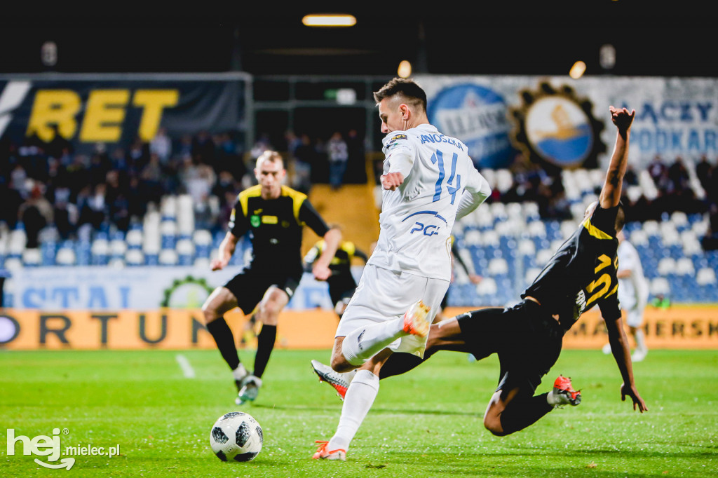 PGE FKS Stal - GKS Jastrzębie