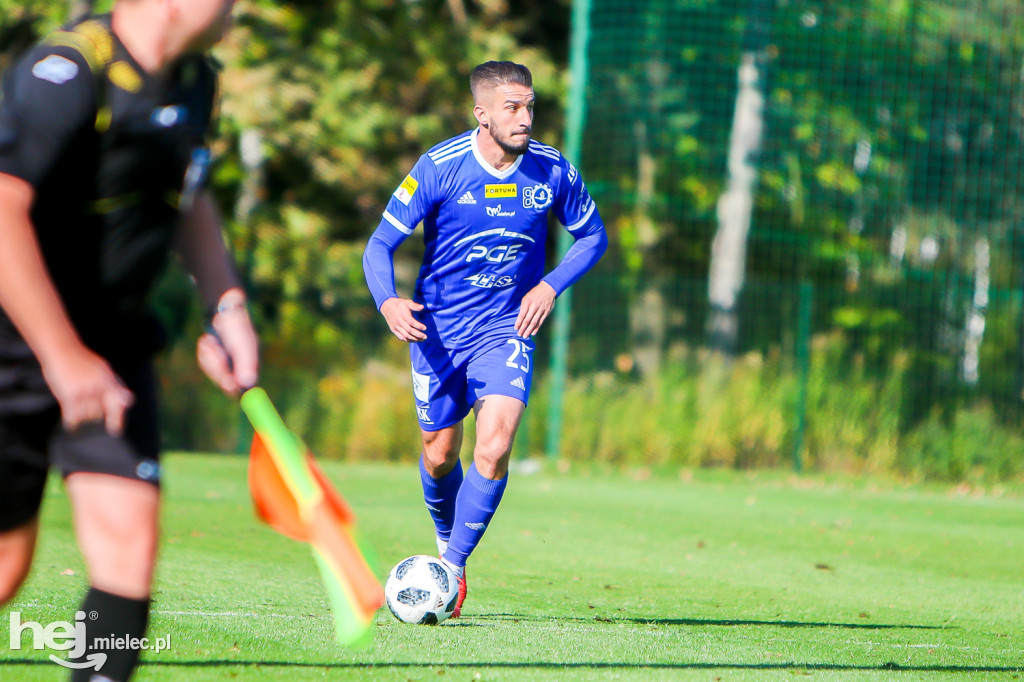 Puszcza Niepołomice - PGE FKS Stal Mielec