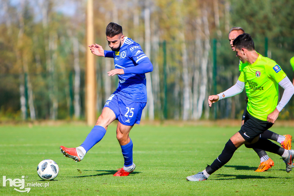 Puszcza Niepołomice - PGE FKS Stal Mielec