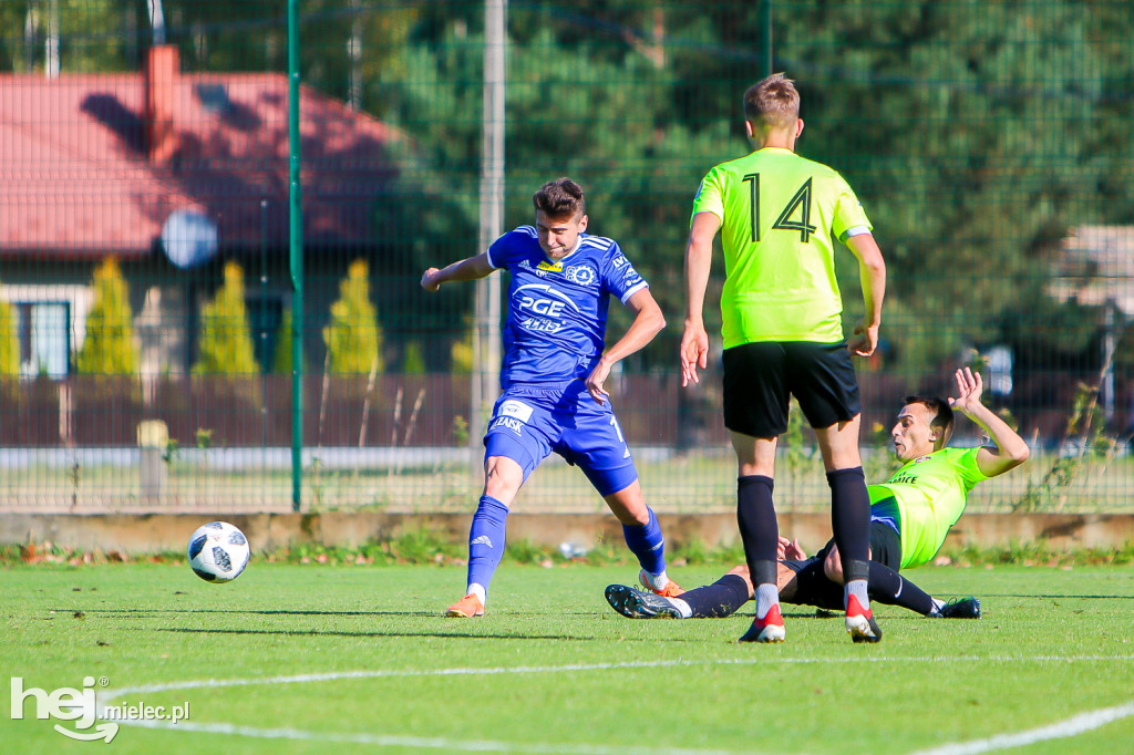 Puszcza Niepołomice - PGE FKS Stal Mielec