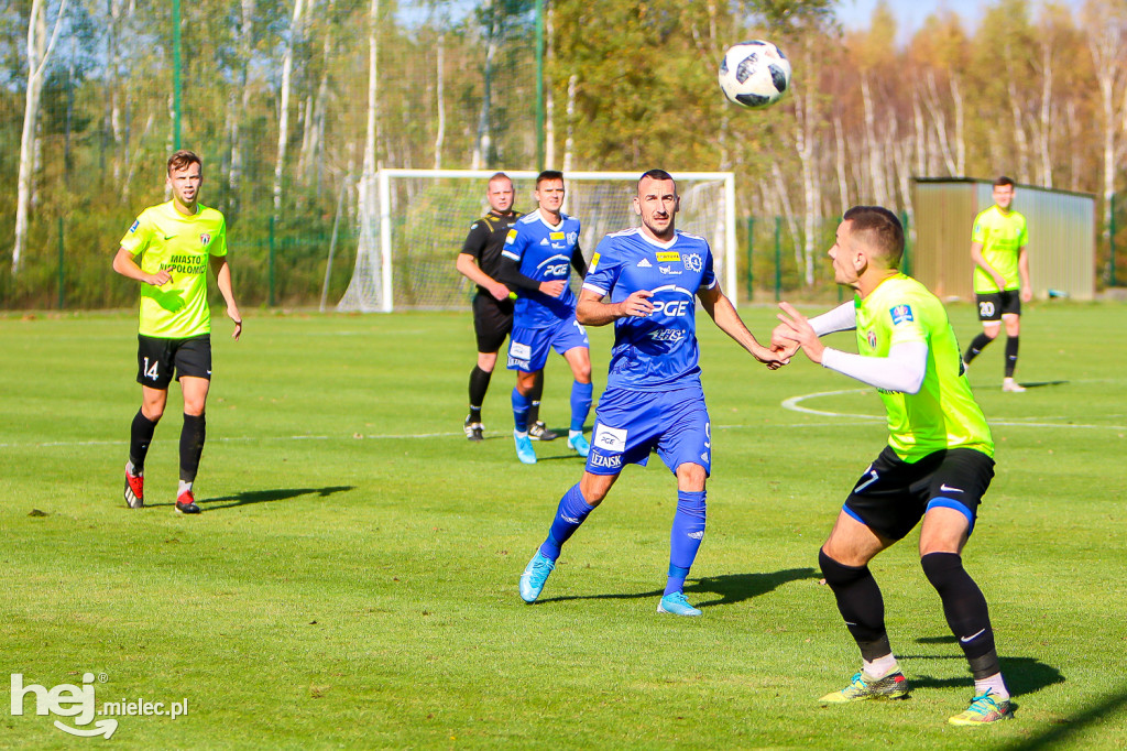 Puszcza Niepołomice - PGE FKS Stal Mielec