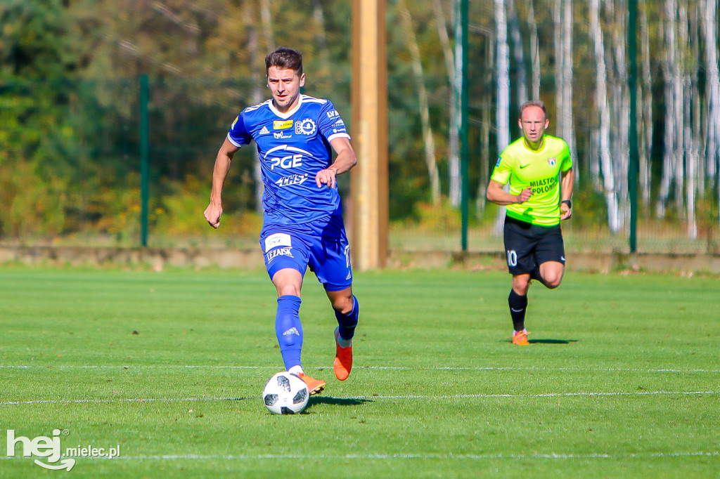 Puszcza Niepołomice - PGE FKS Stal Mielec