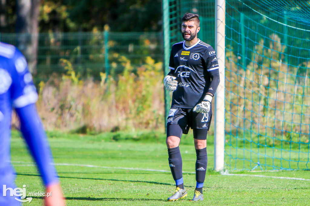 Puszcza Niepołomice - PGE FKS Stal Mielec