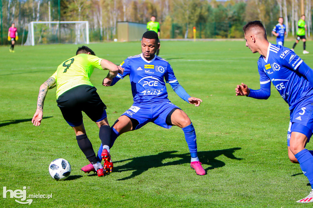 Puszcza Niepołomice - PGE FKS Stal Mielec
