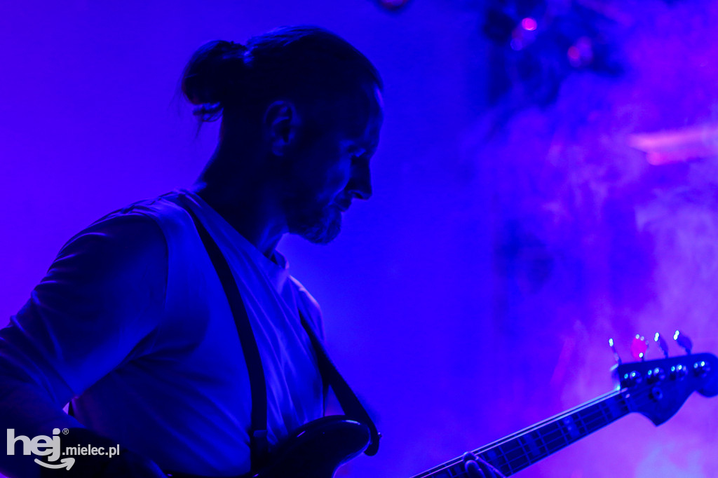 Koncert Akurat