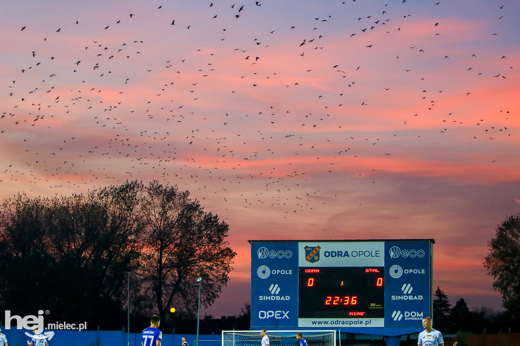 Odra Opole - PGE FKS Stal Mielec