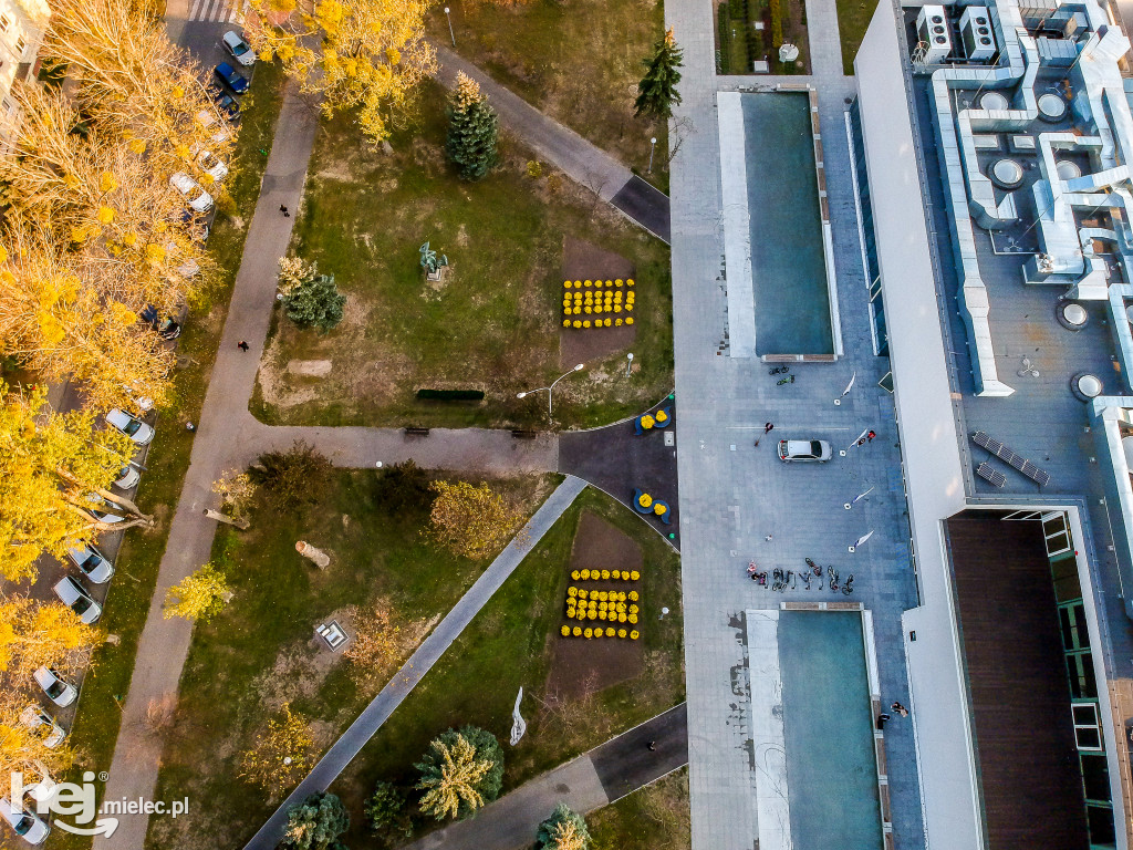 NOWA Miejska Biblioteka Publiczna w Mielcu [DRON]