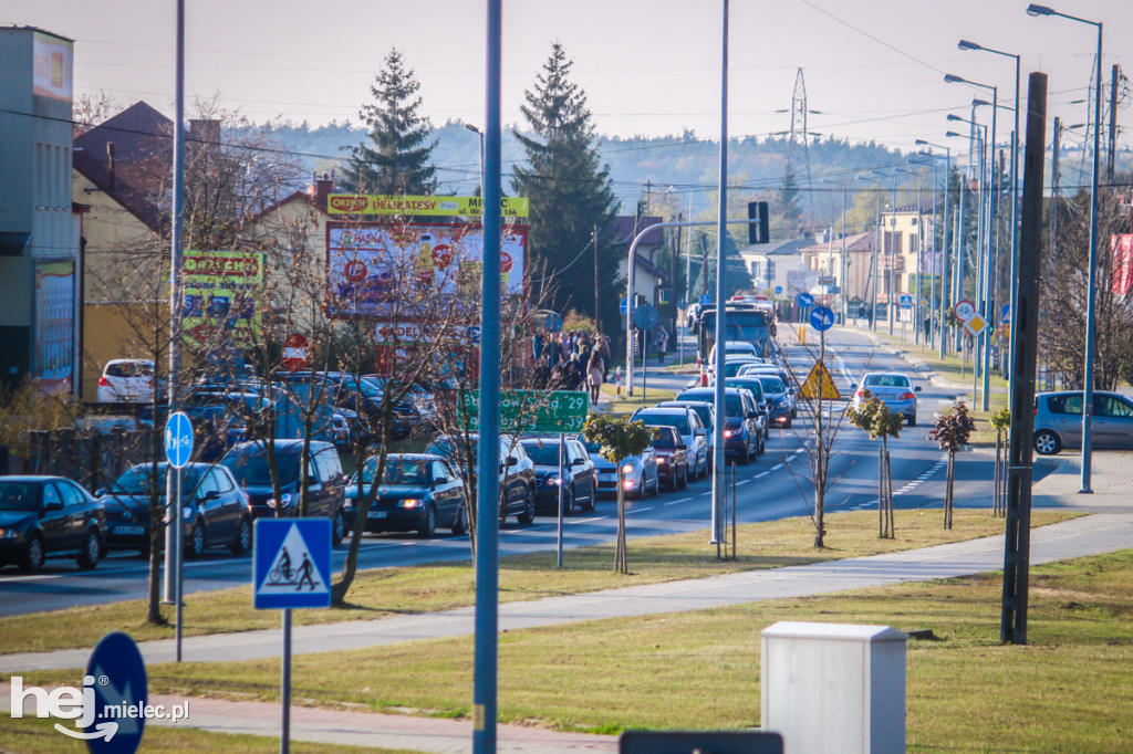 Wszystkich Świętych 2019: Cmentarz Komunalny