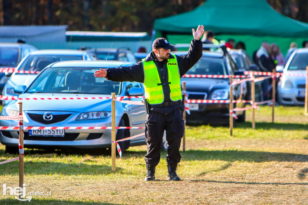 Wszystkich Świętych 2019: Cmentarz Komunalny