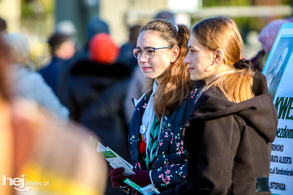 Wszystkich Świętych 2019: Cmentarz Komunalny