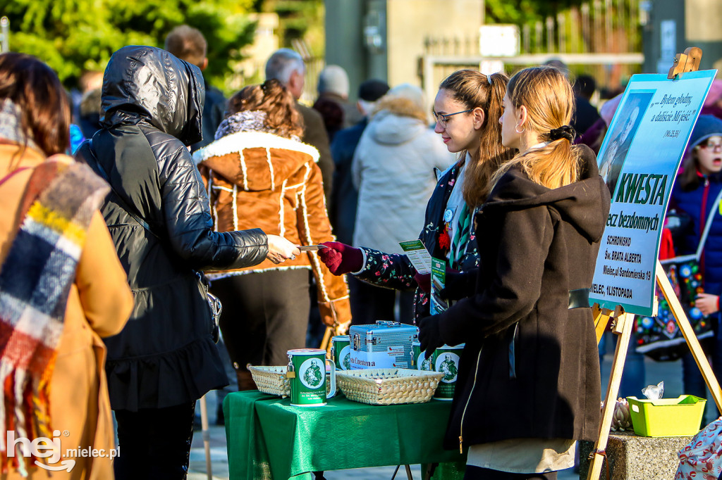Wszystkich Świętych 2019: Cmentarz Komunalny