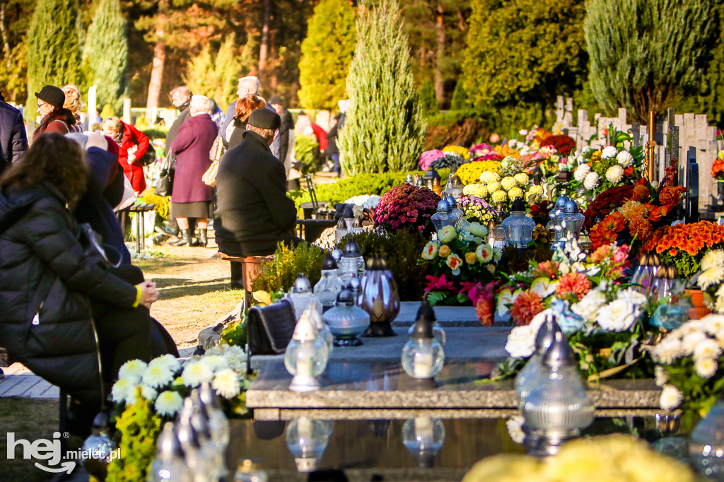 Wszystkich Świętych 2019: Cmentarz Komunalny