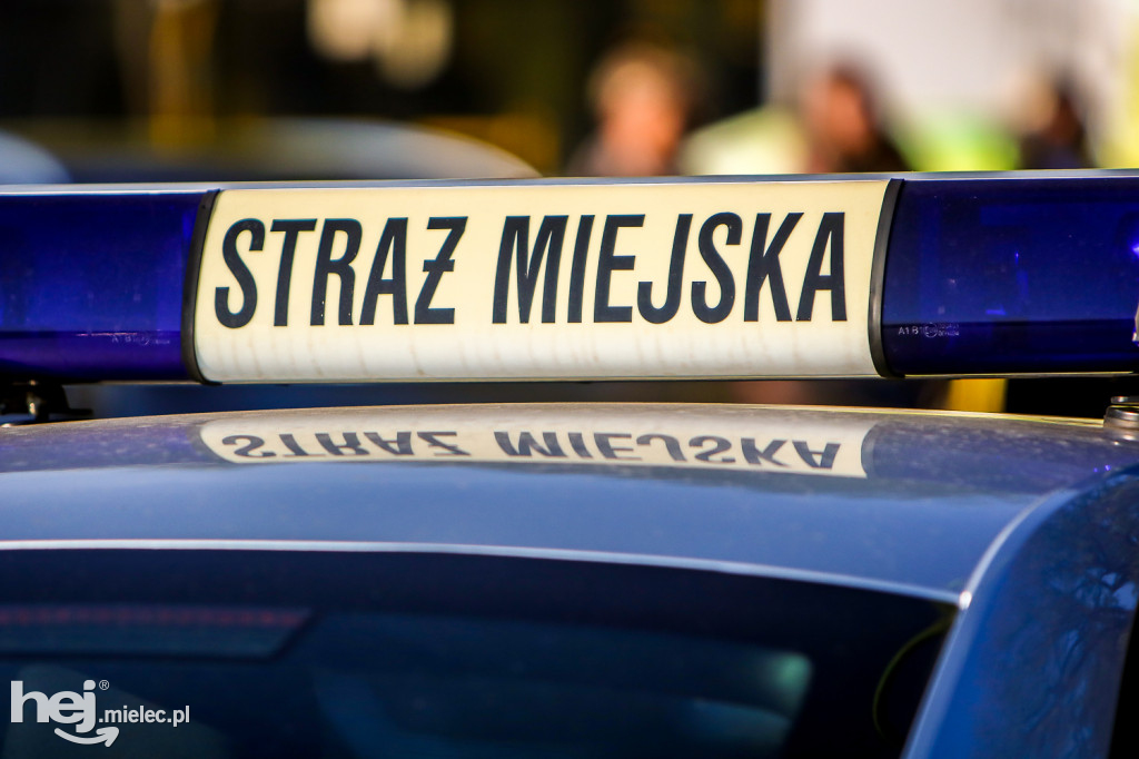 Wszystkich Świętych 2019: Cmentarz Komunalny