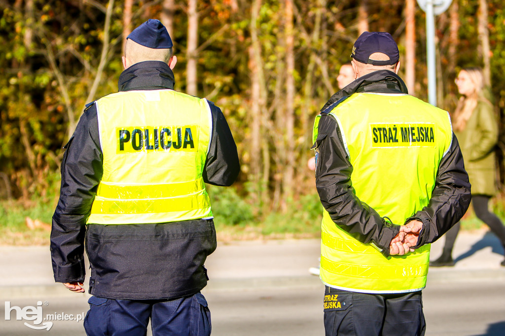 Wszystkich Świętych 2019: Cmentarz Komunalny