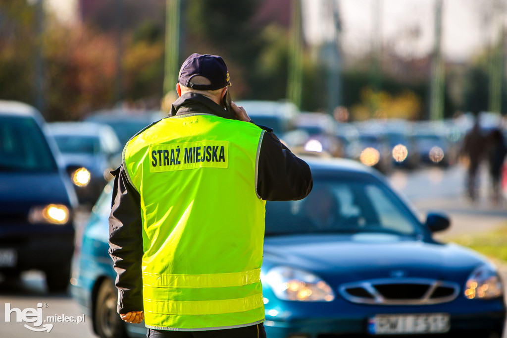 Wszystkich Świętych 2019: Cmentarz Komunalny