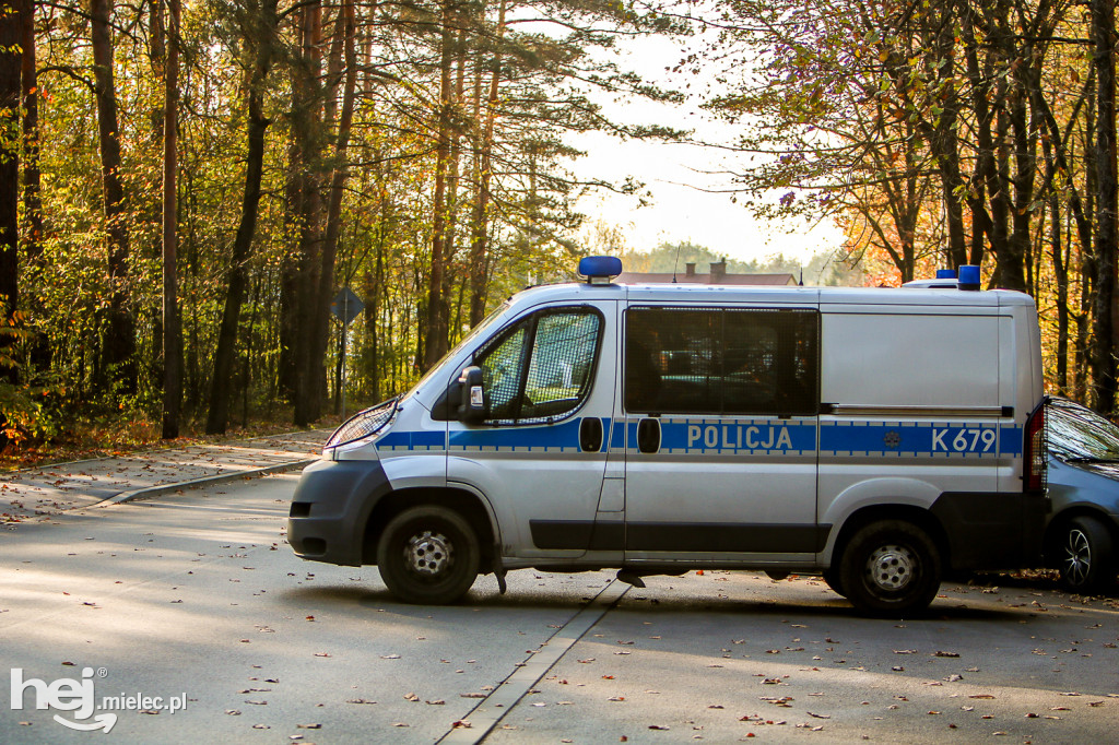 Wszystkich Świętych 2019: Cmentarz Komunalny