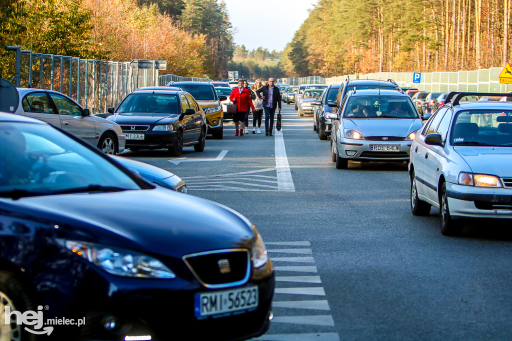 Wszystkich Świętych 2019: Cmentarz Komunalny