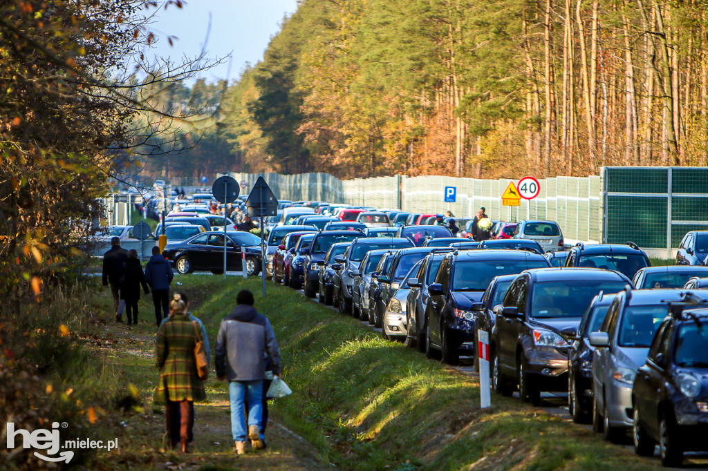 Wszystkich Świętych 2019: Cmentarz Komunalny