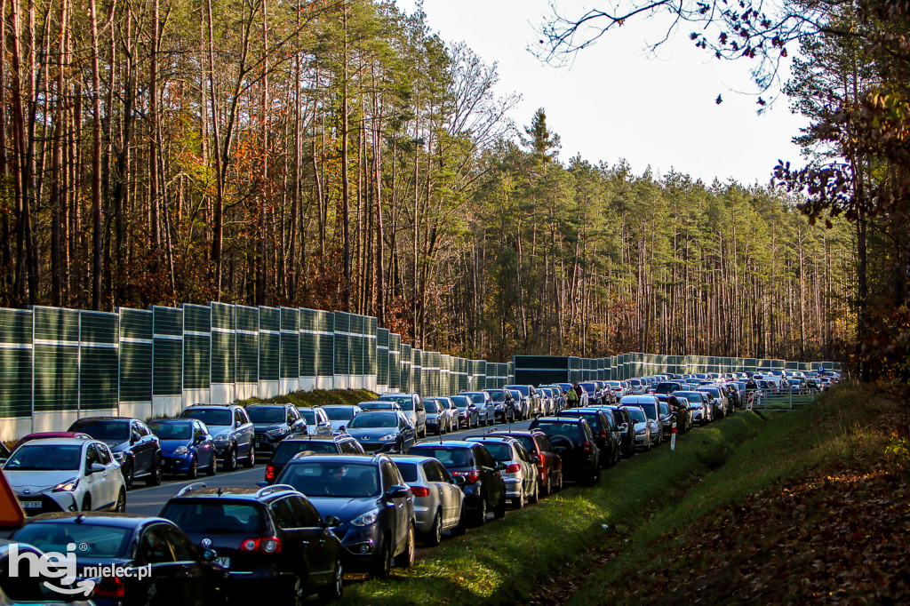 Wszystkich Świętych 2019: Cmentarz Komunalny