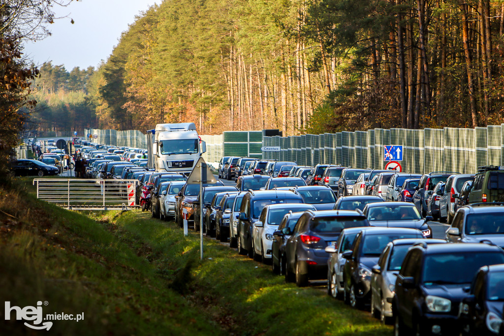 Wszystkich Świętych 2019: Cmentarz Komunalny